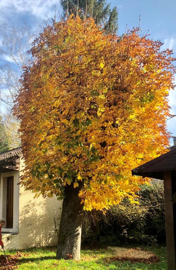 Les Tilleuls Montbeliard Sud Audincourt Exterior foto